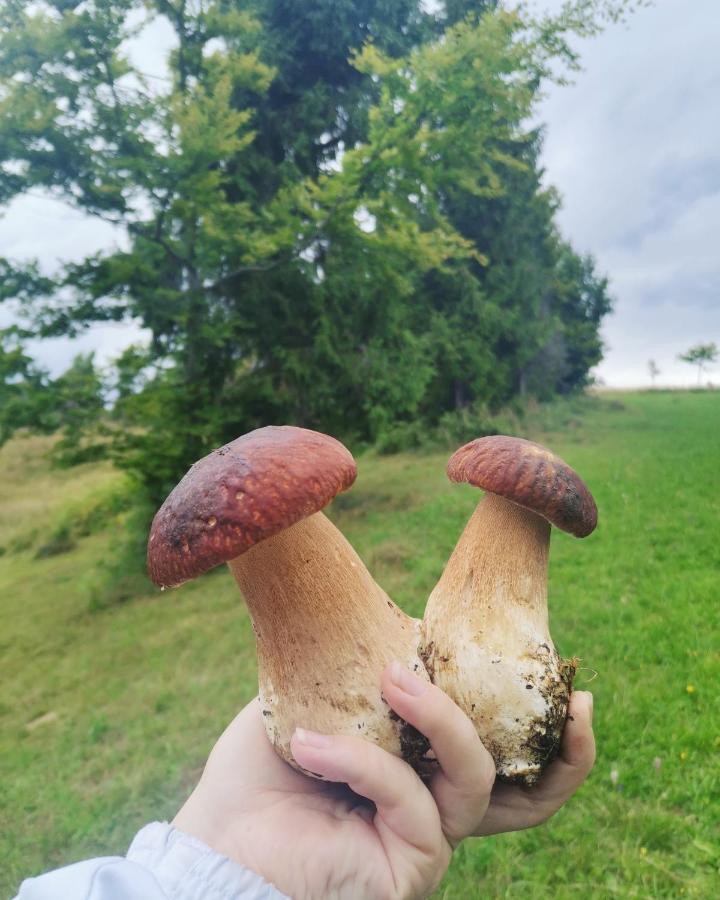 Біла Хижа Felsőhidegpatak Kültér fotó