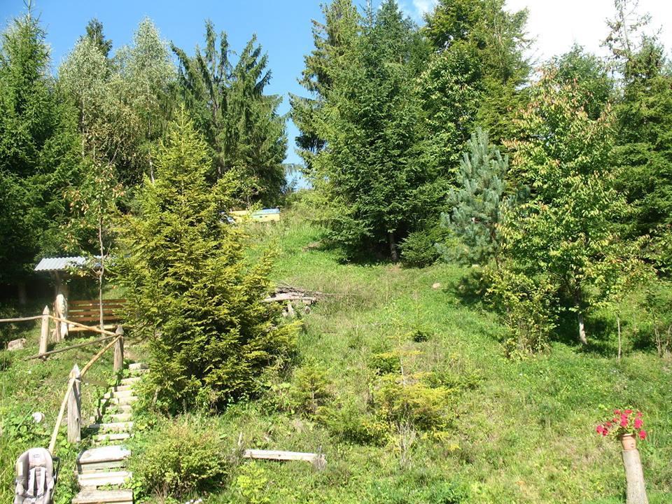 Біла Хижа Felsőhidegpatak Kültér fotó