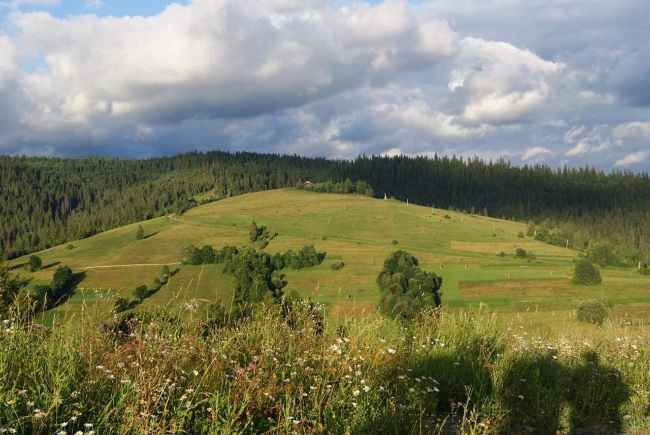 Біла Хижа Felsőhidegpatak Kültér fotó
